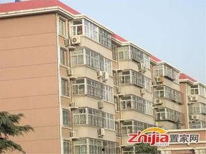 石家庄花园爆料最新消息,揭秘神秘事件背后的真相